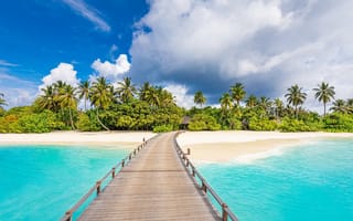 Обои Мальдивы, остров, курорт, океан, рай, Maldives, пальмы