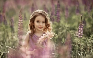 Картинка ребёнок, поле, люпины, лето, цветы, природа, девочка