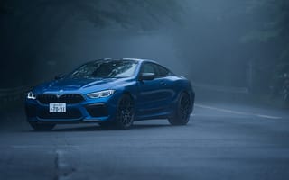 Картинка BMW, Competition, M8