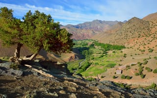 Картинка Марокко, Деревья, Mountains, Горы, Камни, Природа, Atlas