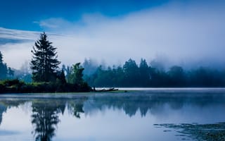 Картинка Озеро, деревья, штиль, туман, утро