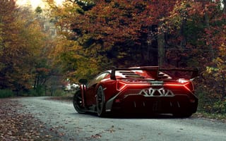 Картинка Lamborghini, осень, лес, природа