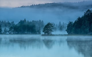 Картинка озеро, утро, туман, лес, природа