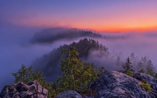 Картинка горы, дерево, туман, природа, утро