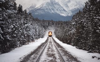 Картинка поезд, лес, снег, зима, ели