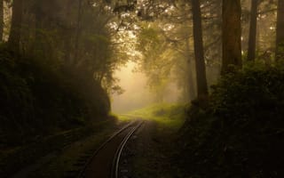 Картинка утро, туман, железная дорога