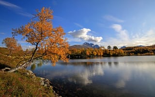 Картинка Норвегия, Деревья, Озеро, Осень, Небо, Kilstivatnet, Природа