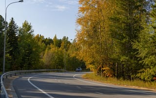 Картинка дорога, деревья, осень