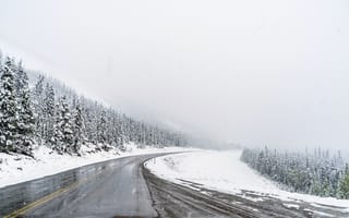 Картинка лес, снег, дорога