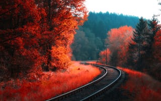 Картинка Железная дорога, природа, рельсы, осень