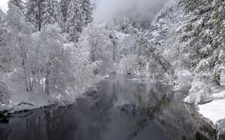 Обои зима, снег, река, лес