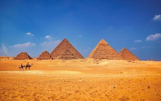 Картинка небо, египет, пирамиды, верблюды