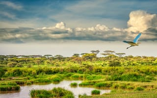 Картинка Африка, саванна, небо