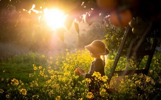 Картинка ребёнок, мандарины, шляпка, природа, сад, травы, деревья, девочка, свет, солнце