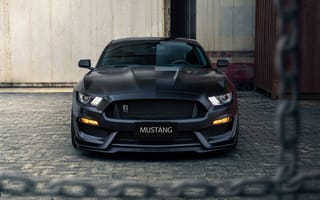 Картинка Ford, GT350, Mustang