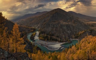 Картинка осень, Алтай, горы, река, лес