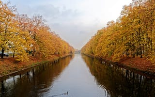 Картинка деревья, канал, осень