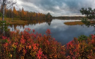 Картинка осень, Павел Ващенков, фотограф