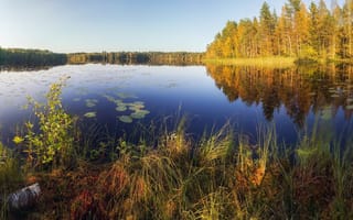 Картинка лето, утро, Павел Ващенков, озеро