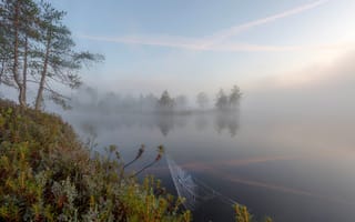Картинка утро, паутина, фотограф, Павел Ващенков, туман