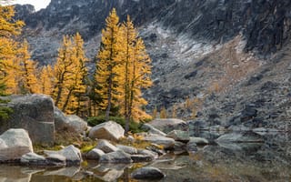 Картинка Канада, Деревья, Природа, Eastgate, Осень, Камни, Скала