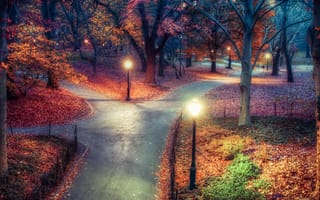 Картинка Нью-Йорк, центральный парк, ночь, осень, фонари