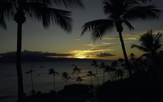 Картинка Мауи, океан, море, закат солнца, пейзаж, пальмы