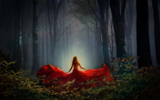 Картинка лес, деревья, платье, ночь, туман, девушка