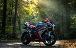 Картинка Yamaha, R1, лучи солнца, лес, осень, мотоцикл
