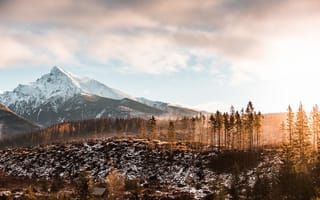 Картинка зима, горы, лес