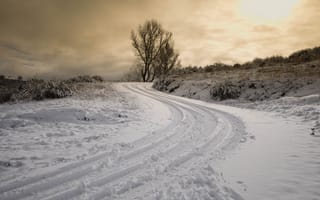 Обои дорога, снег, закат, деревья, склон, холм, зима, следы, пейзаж