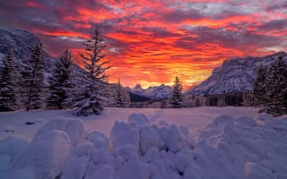 Картинка природа, Альберта, Канада, снег, сугробы, зима, пейзаж, горы, закат, ели