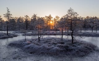 Картинка морозное утро, павел Ващенков, фотограф, болото