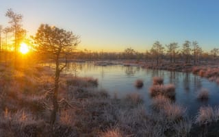 Картинка морозное утро, поздняя осень, болото, павел Ващенков, рассвет, фотограф