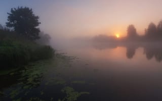 Картинка лето, туман, павел Ващенков, фотограф, речка, утро
