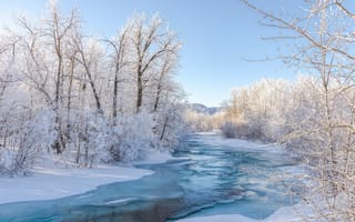 Картинка зима, снег, лёд, река