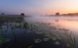 Картинка Река, фотограф, утро, туман, андрей олонцев