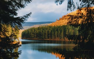 Картинка фотограф Daniel Casson, водохранилище, Дервент, лес, небо, Великобритания, отражение