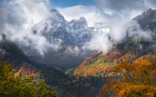 Картинка Швейцария, Природа, Горы, Glarus region, Осень, Лес