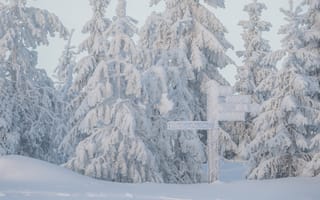 Картинка Зима, Снег, Финляндия