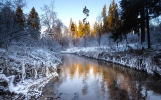 Картинка речка, зима, лес