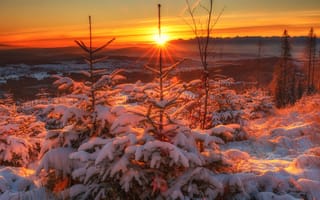 Картинка Sosnicki Michal, небо, восход, дерево, солнце, снег, Польша