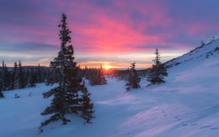 Картинка Зима, лес, снег, Михаил Туркеев