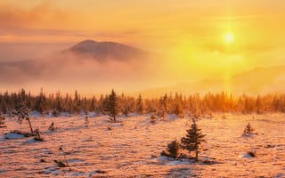 Картинка туман, солнце, Михаил Туркеев, горы