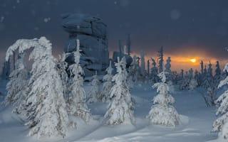 Картинка природа, снег, зима, пейзаж