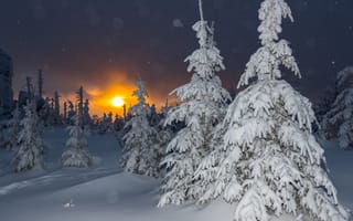 Картинка зима, снег, Бавария, Германия, закат, природа, пейзаж, ели, деревья
