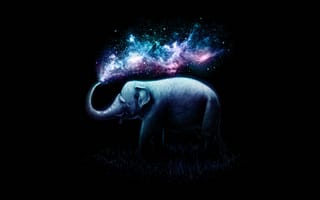 Картинка Слон, Черный, Colorful, AMOLED, Surreal
