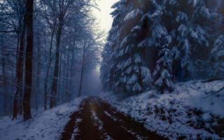 Картинка дорога, зима, лес