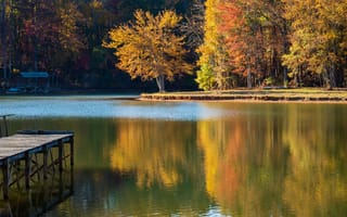 Картинка пруд, осень, деревья