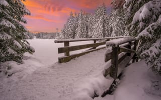 Картинка природа, пейзаж, закат, зима, снег, ели, леса, мостик